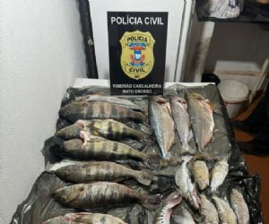 Polcia Civil prende 6 pessoas por crime ambiental durante Operao Curupira