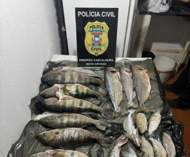 Polcia Civil prende 6 pessoas por crime ambiental durante Operao Curupira