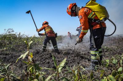 Corpo de Bombeiros extingue mais um incndio florestal em Chapada dos Guimares nesta segunda