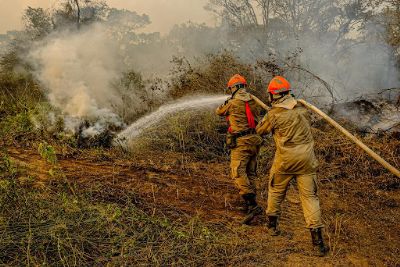 Governo antecipa e amplia proibio do fogo devido alerta de seca histrica