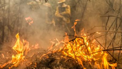 Focos de incndio no Pantanal esto sob investigao da PF, diz Marina