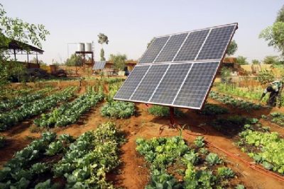 Secretaria de Agricultura Familiar estuda explorao da energia solar na produo agrcola