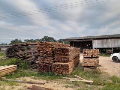 PF deflagra operao contra extrao clandestina de madeira de terra indgena e sequestra R1,2 milhes