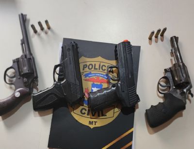 Polcia Civil apreende armas de fogo em paiol de organizao criminosa em Arenpolis