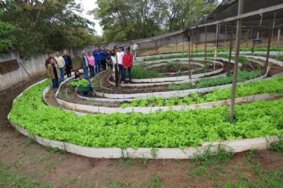 Produo em horta escolar conta com participao de 120 estudantes de escola estadual