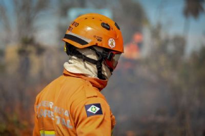 Bombeiros seguem combatendo duas frentes de incndio no Pantanal
