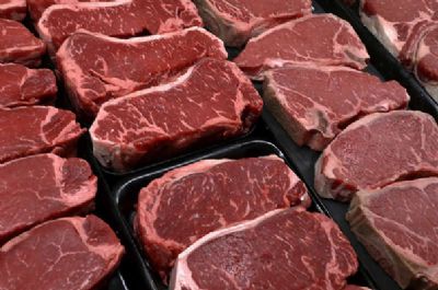 Exportao de carne crescem 1% em julho ante julho de 2018, diz Abrafrigo
