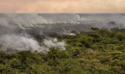 Pantanal poder ter crise hdrica histrica em 2024, aponta estudo