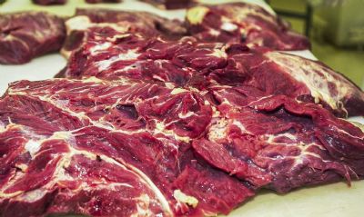 Governo britnico pe fim aos controles reforados s exportaes de carnes brasileira
