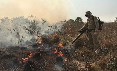 Ao conjunta visa reduzir impactos da seca no Pantanal em 2024
