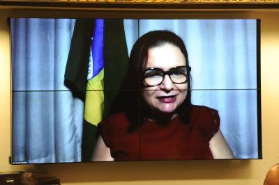Rosa Neide diz que Brasil est derretendo, mas v pedido de impeachment perder fora aps carta