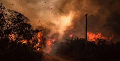 Registro de incndios faz com que Governo antecipe perodo proibitivo de uso de fogo no Pantanal