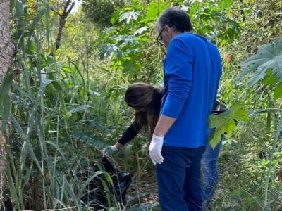 Aps denncia, DEMA abre investigao para apurar descarte irregular de animais mortos